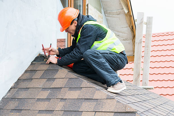 Best Roof Gutter Cleaning  in Bon Aqua Junction, TN