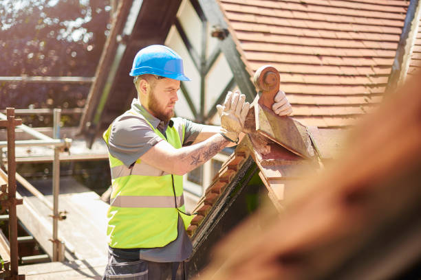 Best Roof Maintenance Services  in Bon Aqua Junction, TN