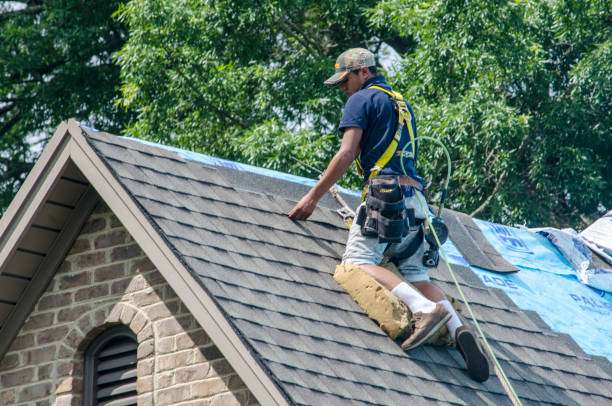 Best Best Roofing Contractors  in Bon Aqua Junction, TN